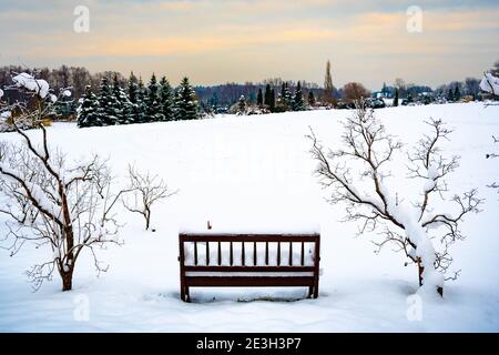 Magnifique paysage d'hiver blanc avec arbres et banc couverts par neige après une grosse chute de neige Banque D'Images