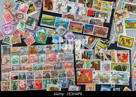 Collecte de timbres, collecte, timbres-poste, timbres postaux de différents pays, Banque D'Images