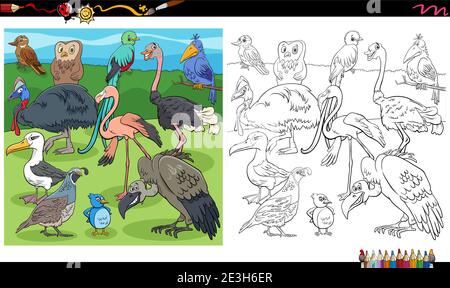 Illustration de dessins animés d'oiseaux animaux sauvages personnages groupe coloriage livre page Illustration de Vecteur