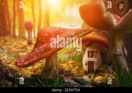 maison de fées aux champignons à la base de l'arbre une journée ensoleillée Banque D'Images