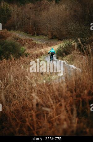 VTT, Cathkin Braes, Glasgow, Écosse Banque D'Images