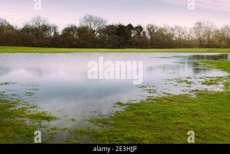 Inondations et mauvais drainage sur les pâturages ouverts et les pâturages le matin d'hiver à la suite de fortes pluies à Beverley, dans le Yorkshire, au Royaume-Uni. Banque D'Images