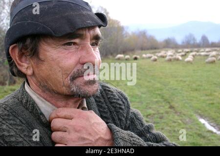 Shepherd dans les Carpates, Roumanie Banque D'Images