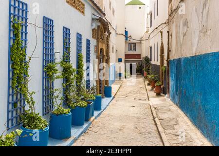 Les murs bleu et blanc distinctifs de la Kasbah des Oudayas (Kasbah des Oudaias), Rabat, Maroc Banque D'Images