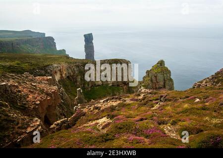 Célèbre Orkney pile de mer Old Man of Hoy avec des falaises et rock en premier plan Banque D'Images