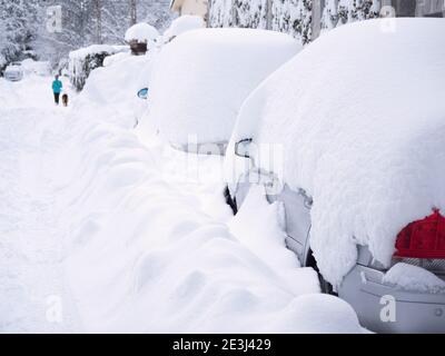 Vue arrière de la femme marchant son berger allemand dans la ville après une énorme tempête de neige. Banque D'Images
