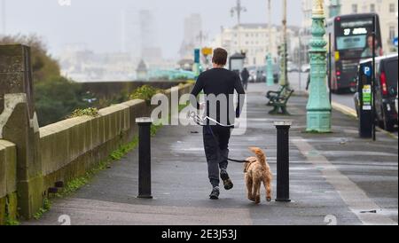 Brighton Royaume-Uni 19 janvier 2021 - UN coureur et son chien bravent les conditions le long du front de mer de Brighton alors que Storm Christoph arrive en Grande-Bretagne avec de forts vents de pluie et de neige au cours des prochains jours avec des avertissements météorologiques ambres déjà donnés pour certaines parties avec des inondations attendues : Credit Simon Dack / Alamy Live News Banque D'Images