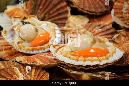 Coquilles Saint-Jacques fraîches à vendre au marché des enfants rouges (« Marche des enfants rouges ») à Paris, France. Banque D'Images