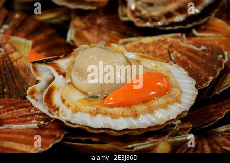 Coquilles Saint-Jacques fraîches à vendre au marché des enfants rouges (« Marche des enfants rouges ») à Paris, France. Banque D'Images