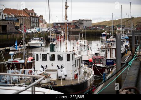 Bateaux de pêche amarrés dans le port d'Eyemouth, aux frontières écossaises. Les exportations de poisson et de fruits de mer frais ont été gravement perturbées par les retards intervenus depuis la fin de la période de transition au Royaume-Uni. Les nouveaux contrôles et la paperasserie entraînent des retards massifs pour l'industrie et les producteurs de fruits de mer sont de plus en plus frustrés par l'absence d'action gouvernementale. Date de la photo: Mardi 19 janvier 2021. Banque D'Images