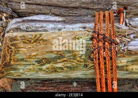 Cable autour D'UN Log - près du terrain de camping à fort Flagler State Park, Washington, ce log avec un câble orange enroulé autour de lui est près d'un petit quai. Banque D'Images