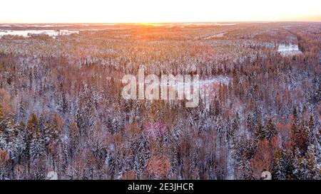 Vue d'hiver sur la forêt enneigée depuis un drone au lever du soleil Banque D'Images