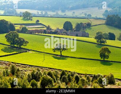 Arbres et ferme en octobre paysage à Beeley Moor près Bakewell dans le parc national de Peak District Derbyshire Angleterre Royaume-Uni Banque D'Images