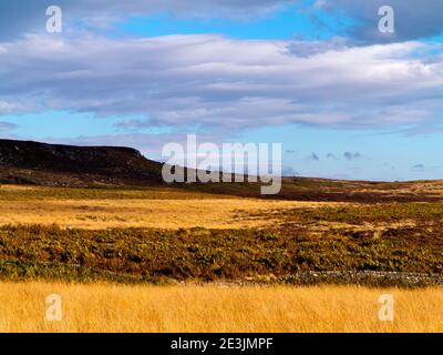 Paysage d'octobre à Beeley Moor près de Bakewell dans le Peak District National Park Derbyshire Angleterre Royaume-Uni Banque D'Images