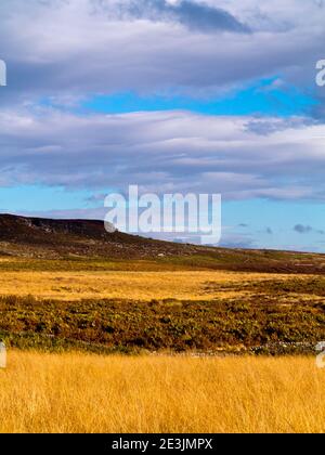 Paysage d'octobre à Beeley Moor près de Bakewell dans le Peak District National Park Derbyshire Angleterre Royaume-Uni Banque D'Images