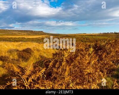 Paysage d'octobre à Beeley Moor près de Bakewell dans le Peak District National Park Derbyshire Angleterre Royaume-Uni Banque D'Images