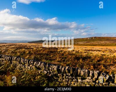 Mur de Drystone et paysage d'octobre à Beeley Moor près de Bakewell Dans le parc national de Peak District Derbyshire Angleterre Royaume-Uni Banque D'Images