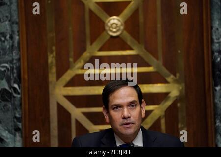 Washington, DC. 19 janvier 2021. WASHINGTON, DC - JANVIER 19: Le sénateur Marco Rubio (R-FL) lors de l'audition de confirmation du candidat pour le Directeur de la National Intelligence avril Haines sur Capitol Hill le 19 janvier 2021 à Washington, DC.Credit: Melina Mara - Pool via CNP | usage dans le monde crédit: dpa/Alay Live News Banque D'Images