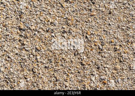 Gravier fin et coquillages sur le sable Banque D'Images