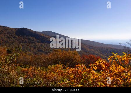 Automne le long de la Blue Ridge Parkway en Caroline du Nord. Banque D'Images