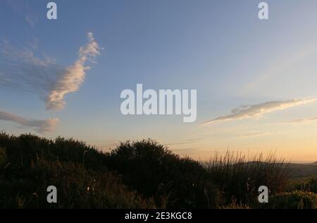 Le soir d'été, des nuages de cirrus wispy dans un ciel bleu crépuscule au-dessus du paysage du Shropshire, Royaume-Uni Banque D'Images