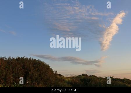 Le soir d'été, des nuages de cirrus wispy dans un ciel bleu crépuscule au-dessus du paysage du Shropshire, Royaume-Uni Banque D'Images