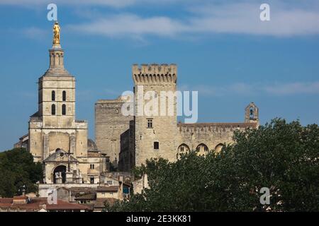 Cathédrale d'Avignon et Palais des Papes à Avignon, région Provence-Alpes-Côte d'Azur, France, Europe Banque D'Images