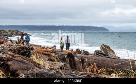 Quatre personnes sur la plage de l'île de Vancouver. C'est un jour de tempête. Vent fort, vagues, eau blanche, bois flotté sur la plage. Quadra Island au loin. Banque D'Images