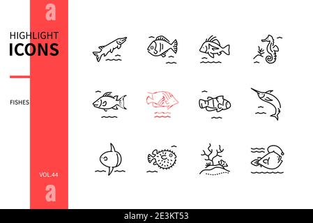 Fish Species - jeu d'icônes de style moderne. Images en noir et blanc. Idée d'habitat marin. Brochet, poisson-fond, hippocampe, poisson-poisson, papillon à nageoires Illustration de Vecteur