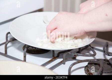 Femme en dictant des oignons jaunes sur une assiette blanche Banque D'Images