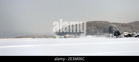 Paysages enneigés pittoresques à Hokkaido, Japon. Banque D'Images