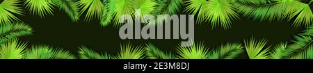 Un long cadre horizontal de feuilles de paume. Bonjour été. Illustration vectorielle Illustration de Vecteur