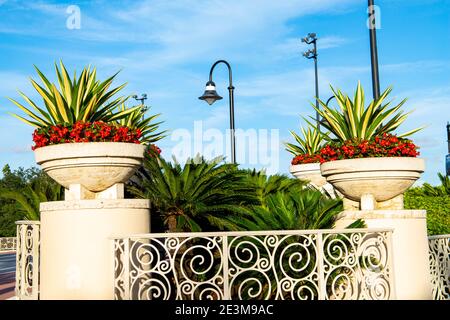 Orlando, Floride Aménagement paysager à l'entrée des studios Universal à Orlando, Floride. 27 octobre 2020. @ Veronica Bruno / Alamy Banque D'Images