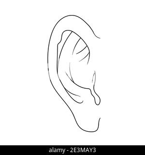 Symbole d'esquisse d'oreille dessiné à la main. Elément d'écoute vectoriel en style doodle, isolé sur blanc Illustration de Vecteur