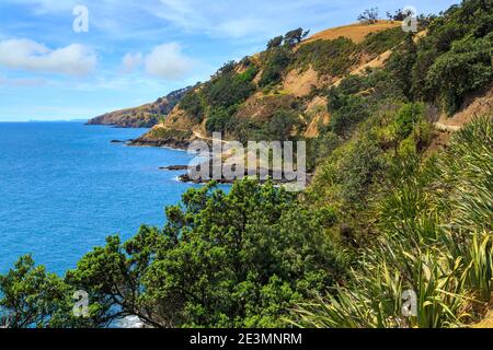 Paysage côtier à l'extrémité nord éloignée de la péninsule de Coromandel, Nouvelle-Zélande Banque D'Images