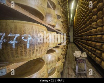 Parmigiano Reggiano sont posés en rangées et laissés sur des planches en bois dans l'entrepôt Hombre Farm. De cette façon, l'extérieur de la roue à fromage . Banque D'Images