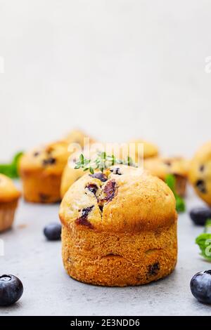 Délicieux muffins aux myrtilles frais faits maison décorés de thym, de baies fraîches et de menthe sur fond de béton gris. Gros plan. Banque D'Images