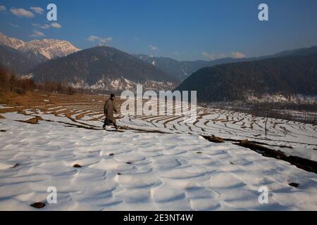 Srinagar, Cachemire sous contrôle indien. 19 janvier 2021. Un homme marche sur des champs enneigés dans un village d'Anantnag, au sud de la ville de Srinagar, la capitale estivale du Cachemire contrôlé par l'Inde, le 19 janvier 2021. Crédit : Javed Dar/Xinhua/Alay Live News Banque D'Images