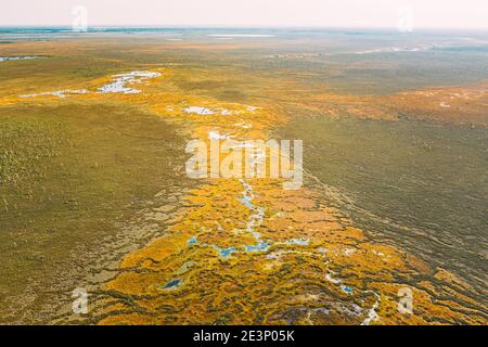 District de Miory, région de Vitebsk, Bélarus. Le marais Yelnya. Tourbières hautes et transitoires avec de nombreux lacs. Vue aérienne élevée de la nature Yelnya Banque D'Images