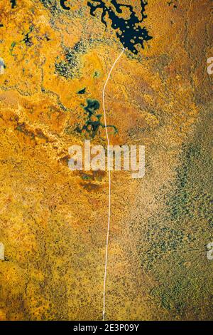 District de Miory, région de Vitebsk, Bélarus. Le marais Yelnya. Tourbières hautes et transitoires avec de nombreux lacs. Vue aérienne élevée de la nature Yelnya Banque D'Images