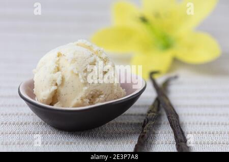 Une cuillère de glace à la vanille maison et fraîche avec de la vanille gousses de vanille et fleurs de vanille Banque D'Images