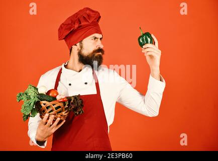 Concept de régime végétarien. Homme avec barbe sur fond rouge. Cuire avec le visage sérieux dans le bordeaux uniforme regarde le poivre tenant les légumes dans le bol en osier. Le chef conserve la laitue, la tomate, le piment et les champignons. Banque D'Images