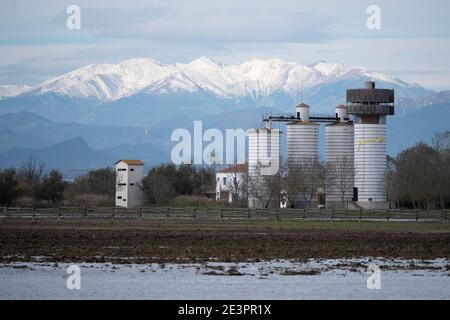 Aiguamolls de l'Empordà, Alt Empordà, province de Gérone, Catalogne, Espagne Banque D'Images