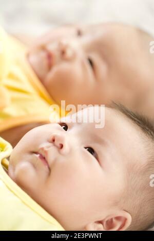 Portrait de Twins bébé photo de haute qualité Banque D'Images