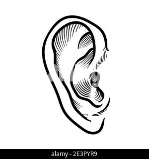 Symbole d'esquisse d'oreille dessiné à la main. Elément d'écoute vectoriel en style doodle, isolé sur blanc Illustration de Vecteur