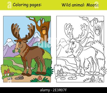 Page de coloriage vectoriel avec un orignal mignon dans la région de montagne. Illustration colorée isolée par un dessin animé. Page de livre de coloriage et modèle de couleur. Pour colorier Illustration de Vecteur