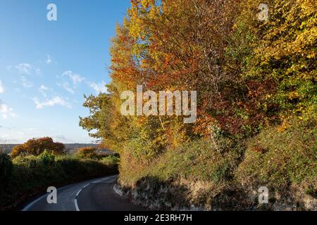 Wendover Dean, Aylesbury Vale, Buckinghamshire, Royaume-Uni. 26 octobre 2020. Rocky Lane. De belles parties de la campagne des Chilterns disparaieront pour toujours comme HS2 Ltd sculptent une énorme cicatrice à travers les Chilterns qui est une zone d'une beauté naturelle exceptionnelle. Le très controversé train à grande vitesse de Londres à Birmingham signifie que les terres agricoles, les maisons, les terres boisées et les habitats de la faune sont détruits par HS2 causant d'énormes perturbations aux communautés locales et aux environnementalistes. Crédit : Maureen McLean/Alay Banque D'Images