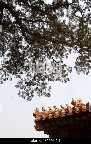 Cité interdite, statues sur le dessus du bâtiment photo de haute qualité Banque D'Images