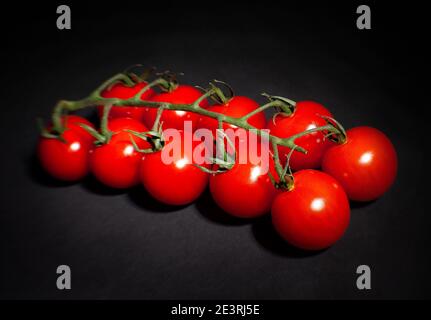 branche de tomates cerises sur fond noir Banque D'Images