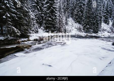 Mumlava est une rivière de montagne qui traverse les montagnes géantes et à l'embouchure de la Jizera qui borde les montagnes de Jizera. Banque D'Images